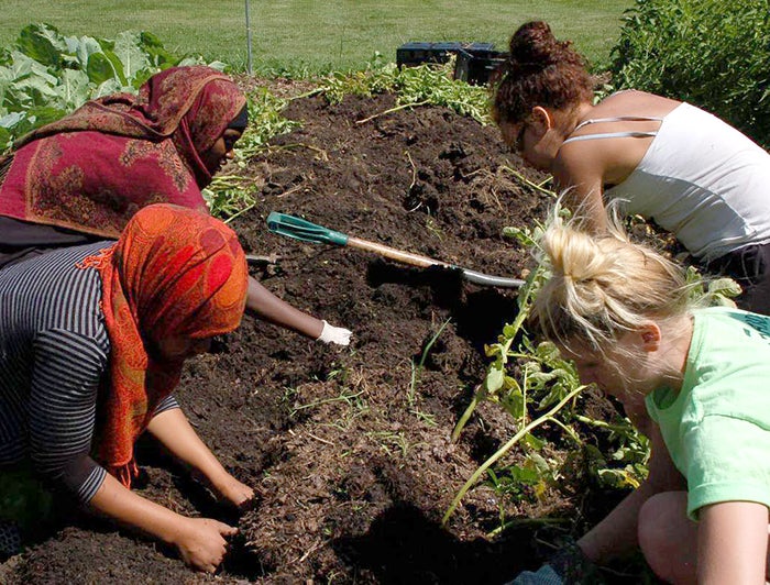 people working on st mary collaboration garden