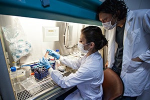 Coronavirus COVID-19 CDC Guidance stock. Two lab workers test samples.