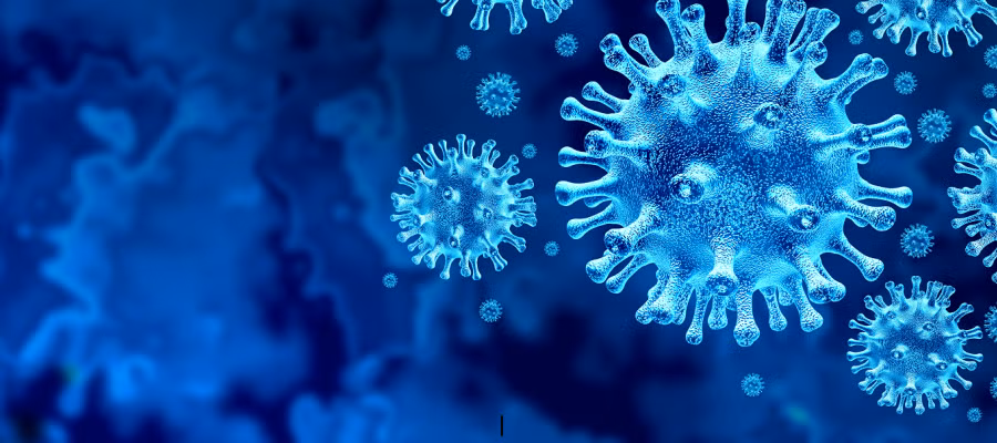 Measles cells.